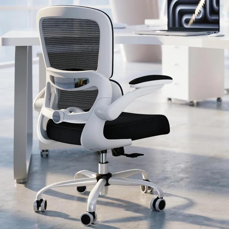 TRALT Ergonomic Desk Chair with Adjustable Lumbar Support White Black