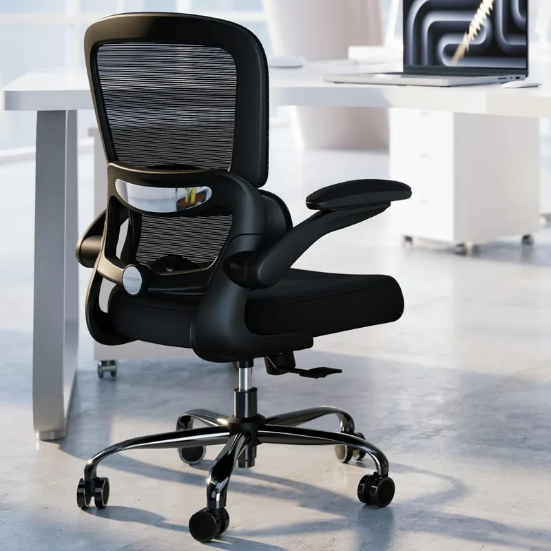 TRALT Ergonomic Desk Chair with Adjustable Lumbar Support