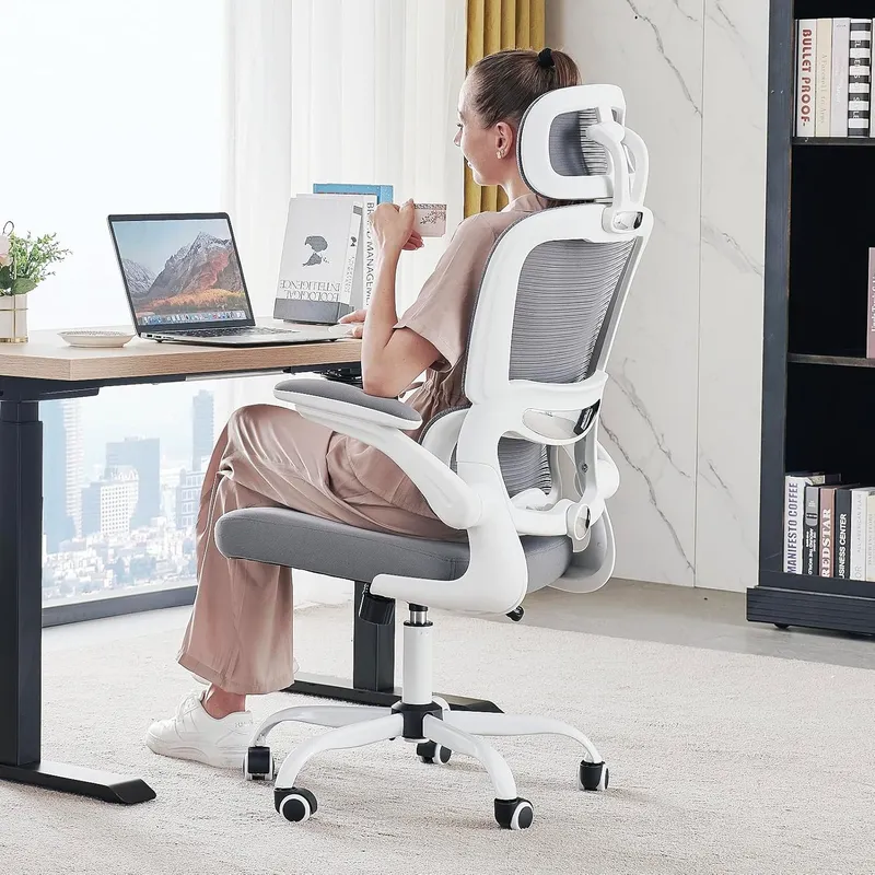 TRALT Office Chair Ergonomic Desk Chair